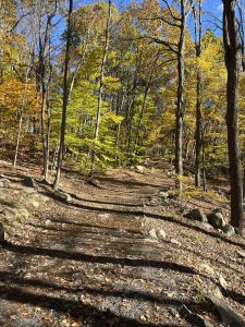 Ramapo Valley County Reservation (라마포)