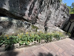 Rock City Gardens - 락시티 가든