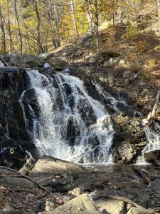 Ramapo Valley County Reservation (라마포)