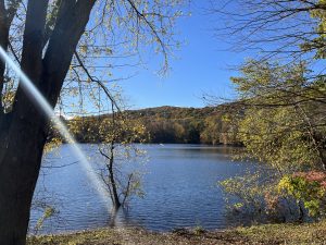 Ramapo Valley County Reservation (라마포)