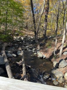 Ramapo Valley County Reservation (라마포)
