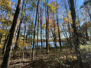 Ramapo Valley County Reservation (라마포)