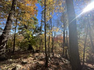 Ramapo Valley County Reservation (라마포)