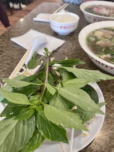 Pho 75 - 버지니아