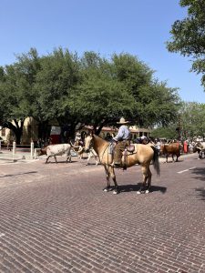 Stockyards Fort Worth (포트워스 스톡야드)