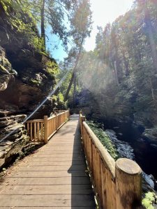 부쉬킬 폭포 (Bushkill Falls)