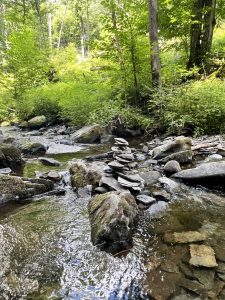 부쉬킬 폭포 (Bushkill Falls)
