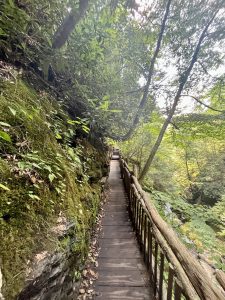 부쉬킬 폭포 (Bushkill Falls)