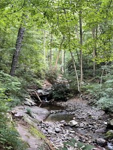 애팔래치안 트레일 Appalachian Trail