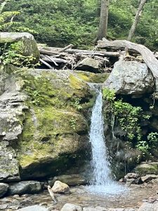 애팔래치안 트레일 Appalachian Trail