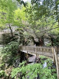 부쉬킬 폭포 (Bushkill Falls)
