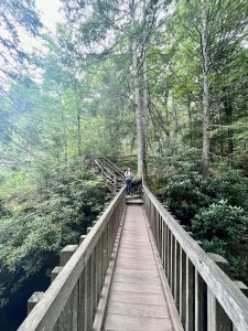 부쉬킬 폭포 (Bushkill Falls)