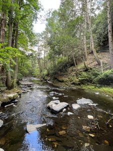 부쉬킬 폭포 (Bushkill Falls)
