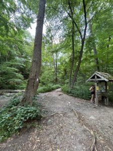 애팔래치안 트레일 Appalachian Trail