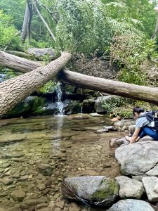 애팔래치안 트레일 Appalachian Trail