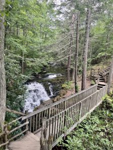 부쉬킬 폭포 (Bushkill Falls)