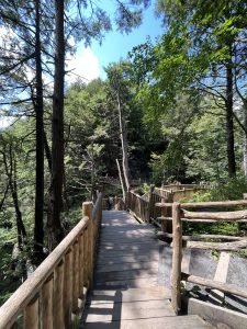 부쉬킬 폭포 (Bushkill Falls)