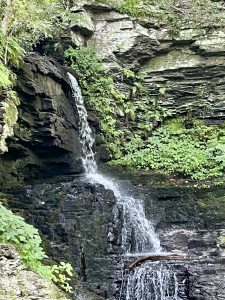 부쉬킬 폭포 (Bushkill Falls)