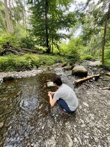 부쉬킬 폭포 (Bushkill Falls)