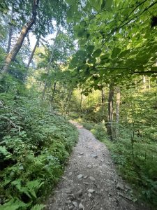 애팔래치안 트레일 Appalachian Trail