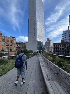 하이 라인  (High Line)