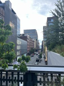 하이 라인  (High Line)