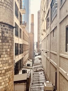 하이 라인  (High Line)