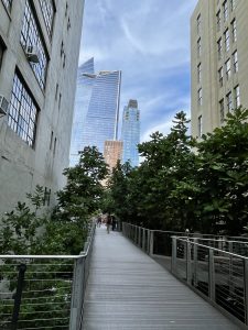 하이 라인  (High Line)