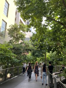 하이 라인  (High Line)
