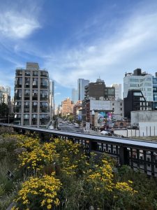 하이 라인  (High Line)