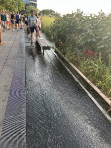 하이 라인  (High Line)