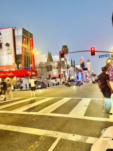 HOLLYWOOD WALK OF FAME   (명예의 전당)