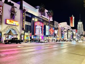 HOLLYWOOD WALK OF FAME   (명예의 전당)