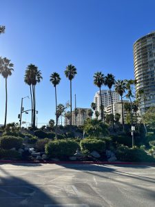 롱비치 (Long Beach -California)