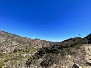 Malibu Creek State Park (말리부 주립 공원)