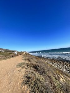 Malibu (말리부 1번국도)