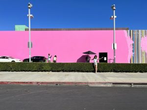 The Pink Wall