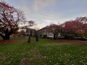한국정원 (THE KOREAN GARDEN AT AMERICAN UNIVERSITY)