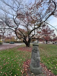 한국정원 (THE KOREAN GARDEN AT AMERICAN UNIVERSITY)