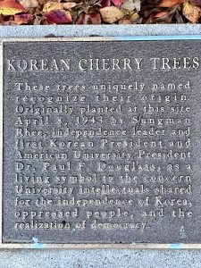 한국정원 (THE KOREAN GARDEN AT AMERICAN UNIVERSITY)