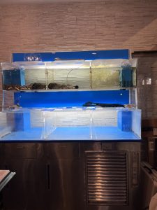 Da Hong Pao Restaurant