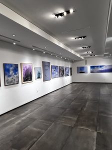 보리  - 휴스턴