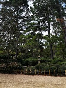 Japanese Garden (일본 정원)
