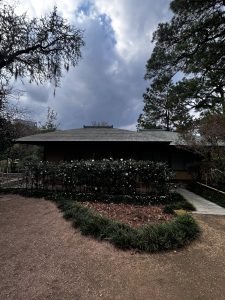 Japanese Garden (일본 정원)