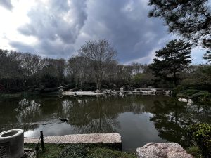 Japanese Garden (일본 정원)
