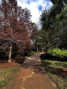 Japanese Garden (일본 정원)