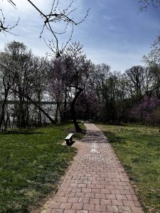 George Washington's Mount Vernon (마운트 버넌)
