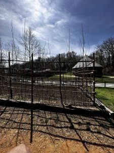 George Washington's Mount Vernon (마운트 버넌)