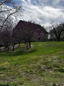George Washington Distillery