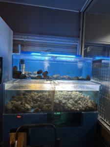 동네포차